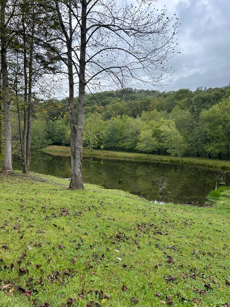 LAKEVIEW COTTAGE IN TACKETT CREEK Photo 7